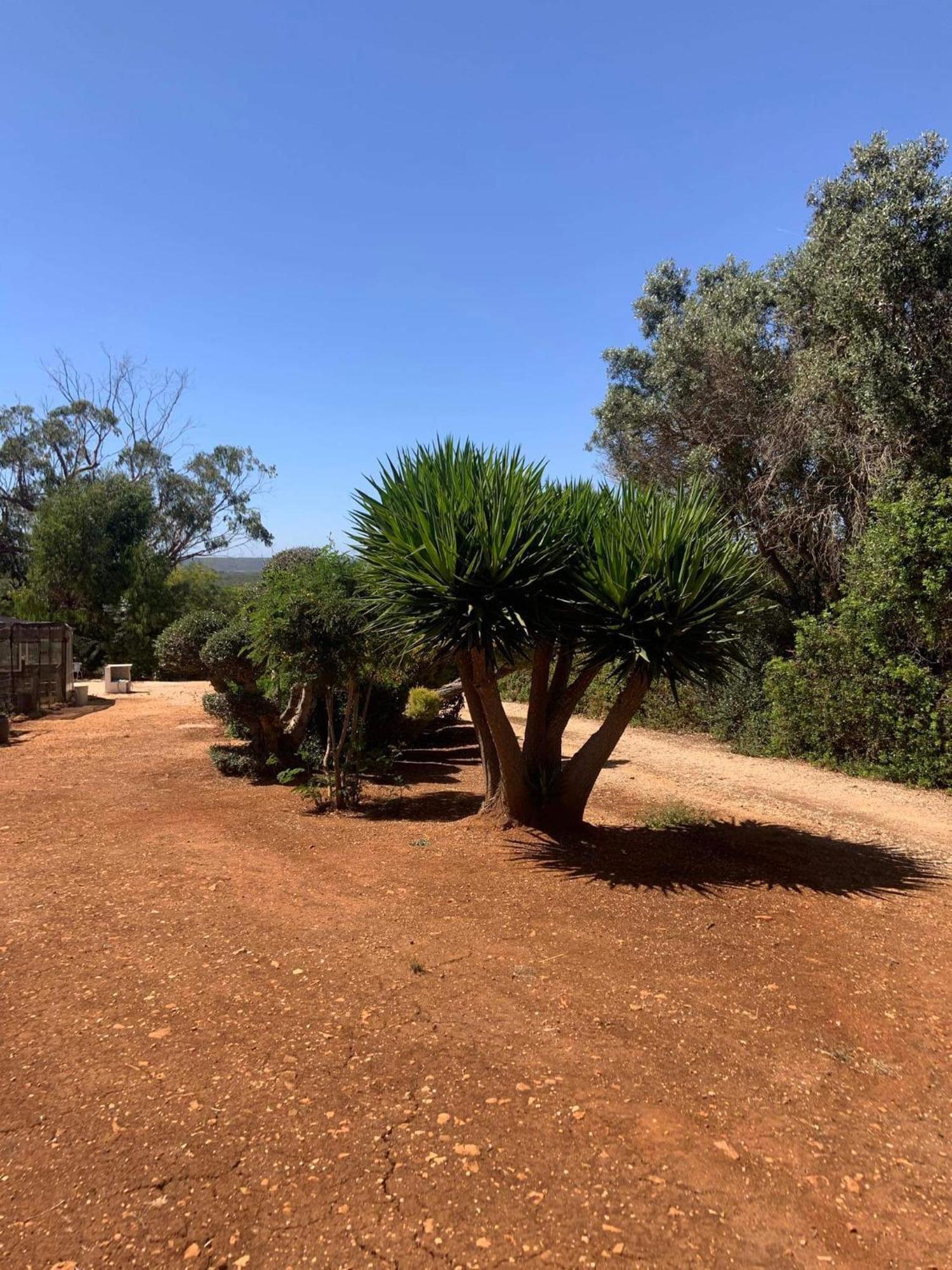 Country house Quinta Falzina Praia Da Luz