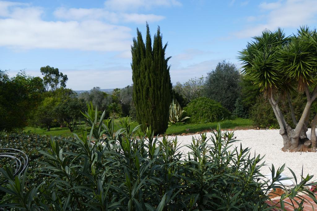 Quinta Falzina Country house